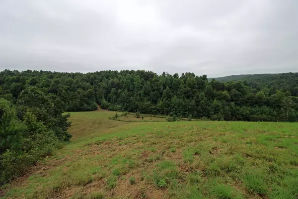 Hohenwald, TN 38462,146 Forest Ridge Rd