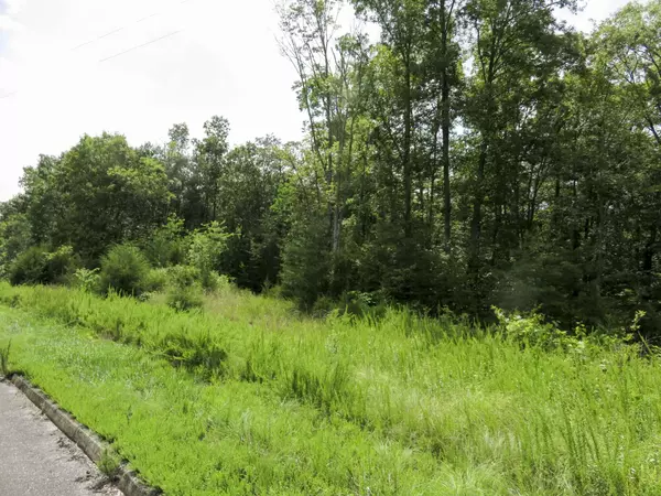 Dandridge, TN 37725,0 Timber Court