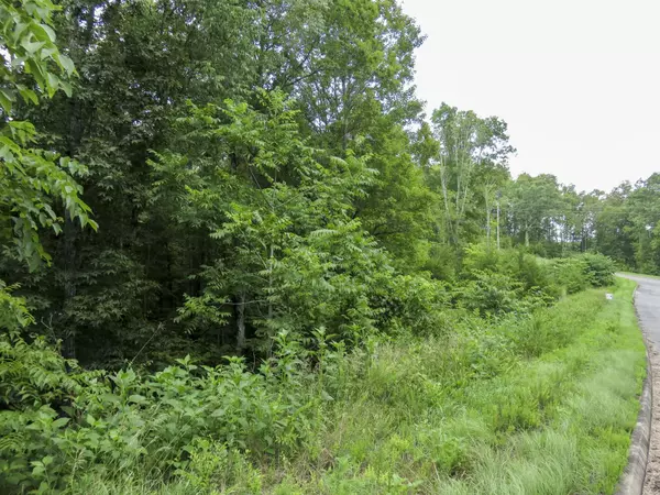 Dandridge, TN 37725,0 Timber Court