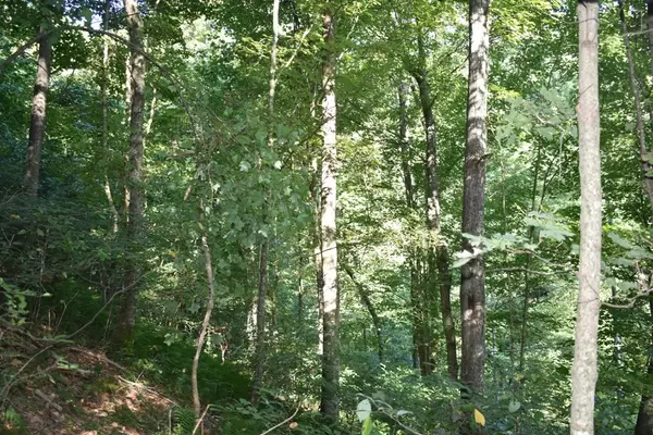 Pleasant Shade, TN 37145,0 Dean Hill Rd