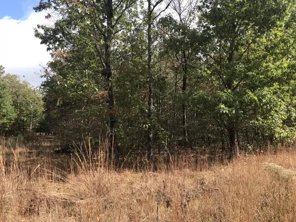 Belvidere, TN 37306,0 Rowe Gap