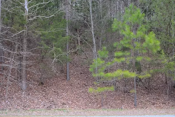 0 Panhandle Road Lot 3, Wartrace, TN 37183