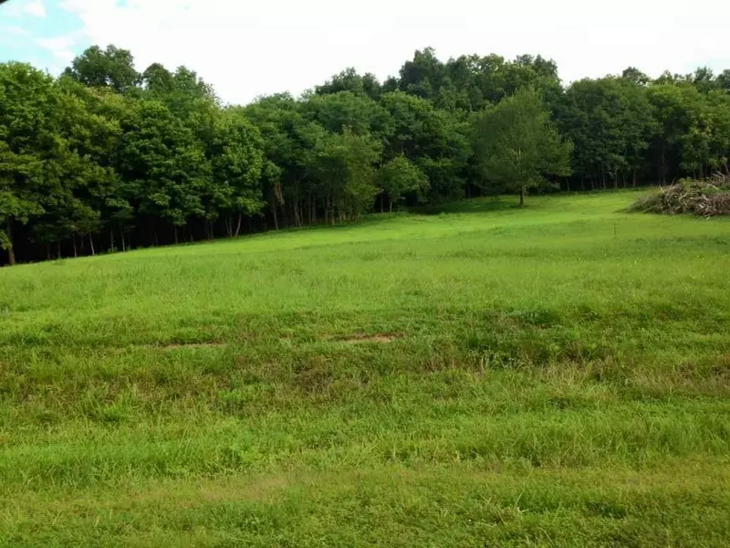 0 Scenic, Pulaski, TN 38478