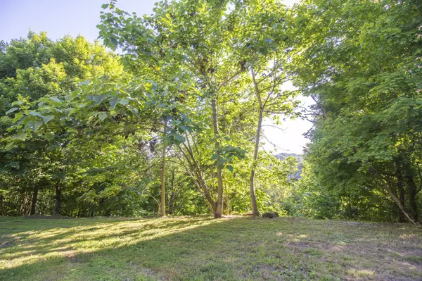 Pleasant Shade, TN 37145,234 Friendship Hollow Rd #S