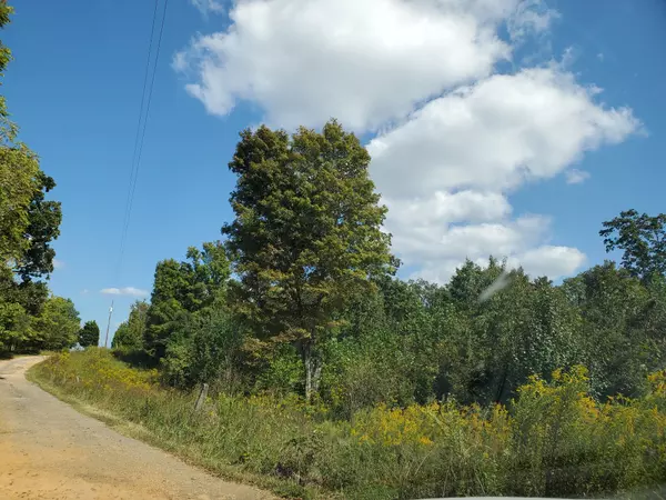 Vanleer, TN 37181,1320 Halliburton Rd