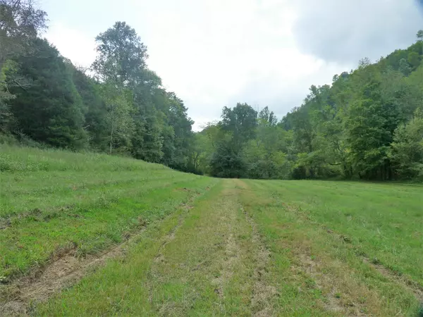 Woodbury, TN 37190,1893 Petty Gap Rd