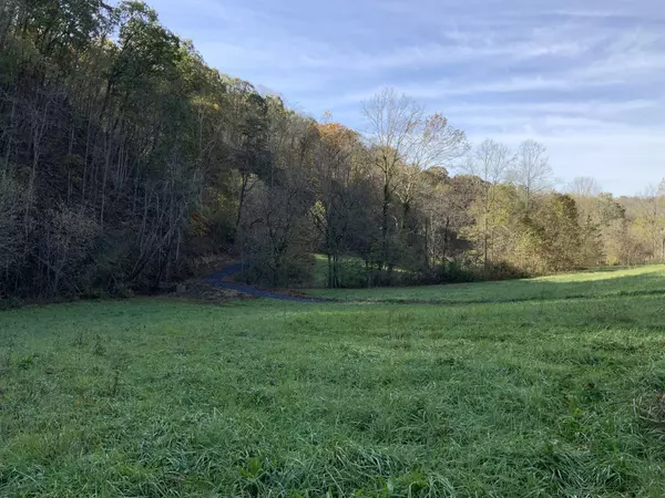 Greeneville, TN 37745,0 Bear Hollow Road