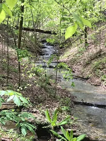 Gainesboro, TN 38562,584 Stacy Cemetery Ln