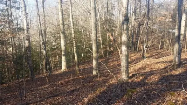 3 .50ac Boles Beaty Rd, Alpine, TN 38543