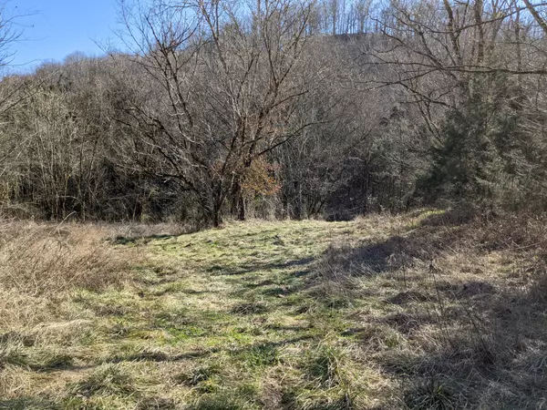 Smithville, TN 37166,550 Buckeye Hollow Rd