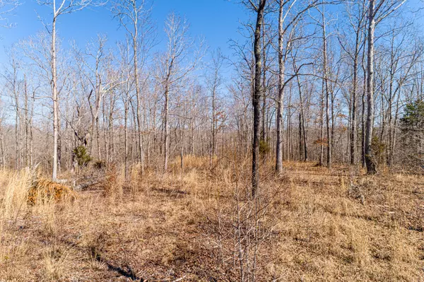 Parsons, TN 38363,2263 Brodies Landing Rd