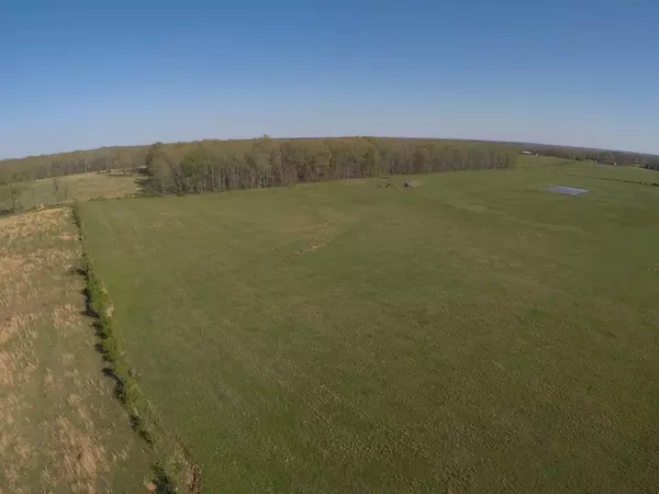Hohenwald, TN 38462,0 Buffalo Rd