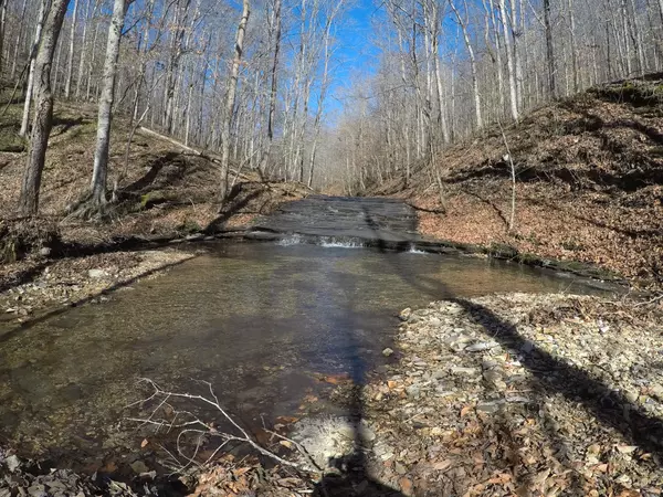 Hohenwald, TN 38462,0 Columbia Hwy
