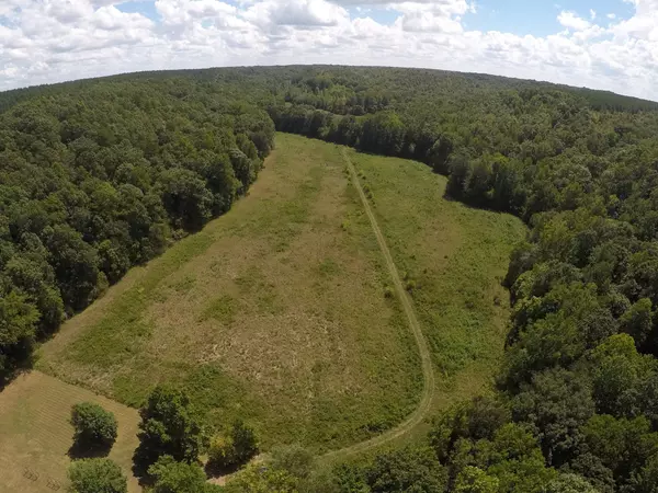 0 McCord Hollow Rd, Hohenwald, TN 38462