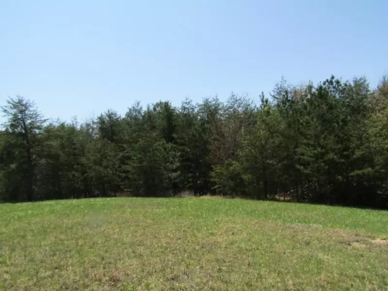 8 .64ac Nichol Creek Drive, Jamestown, TN 38556