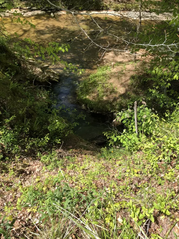 Centerville, TN 37033,0 Sulphur Crk Rd