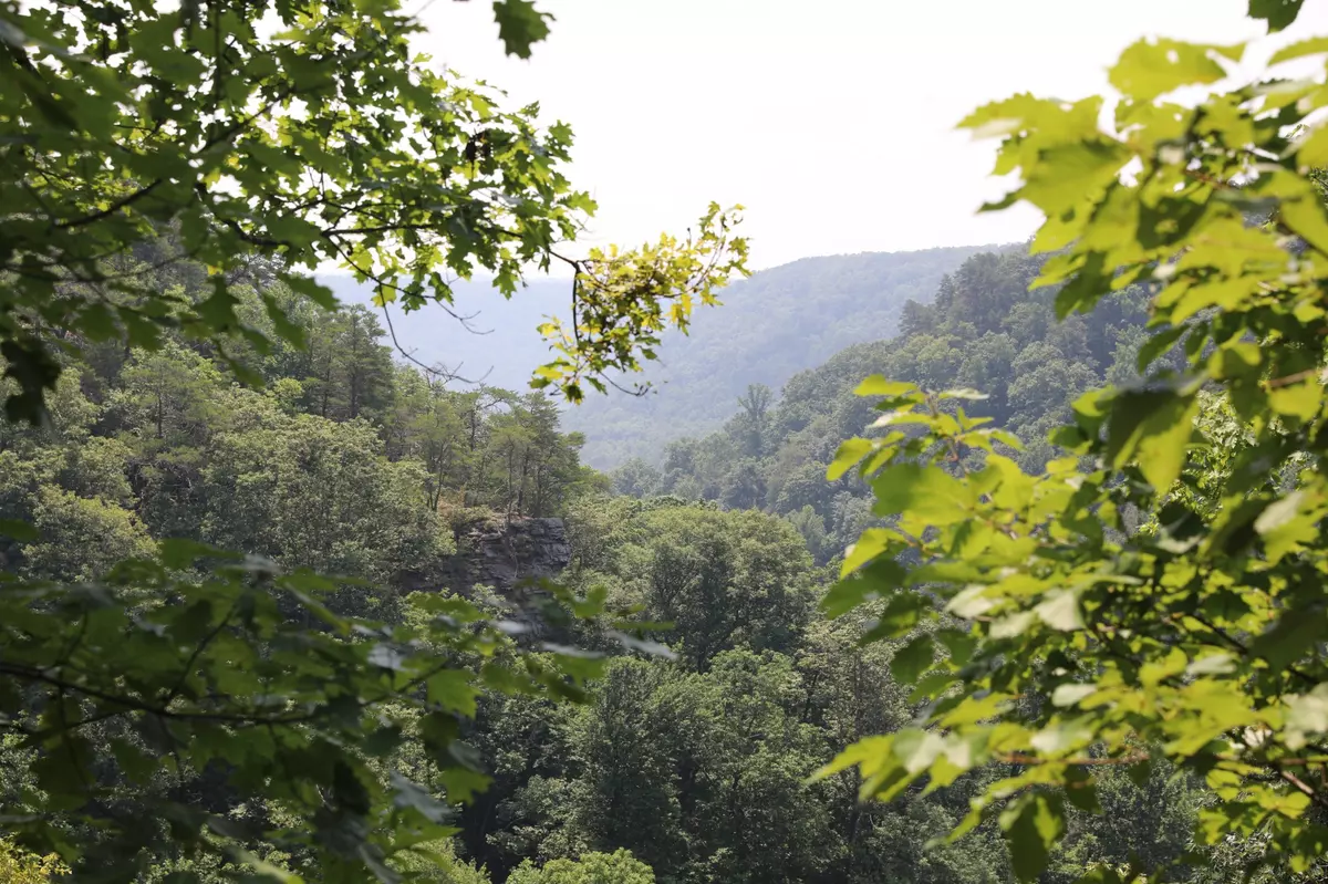 Monteagle, TN 37356,0 Monteagle Falls Rd