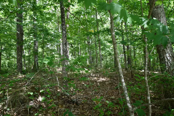 0 Bear Ct Lot 18, Monteagle, TN 37356