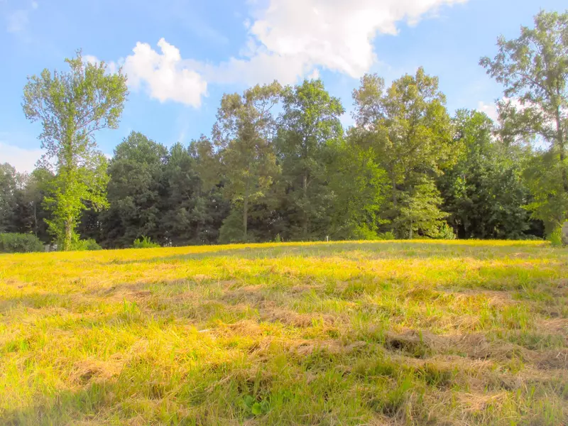 0 Spring Meadows Rd. Lot 19, Morrison, TN 37357