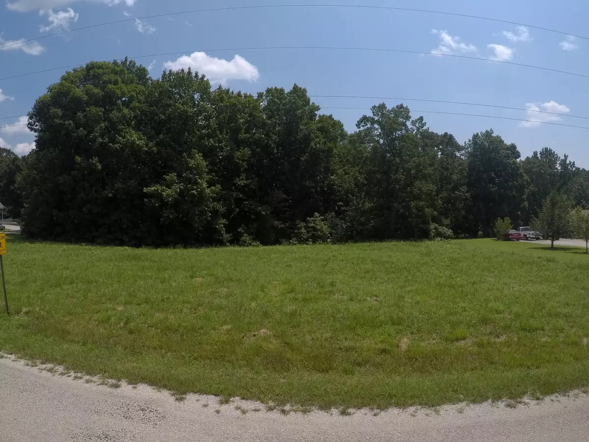 Hohenwald, TN 38462,124 Commanche Dr