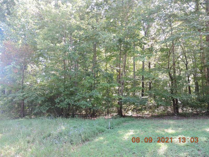 0 Hasty Ln Lot 1, Estill Springs, TN 37330