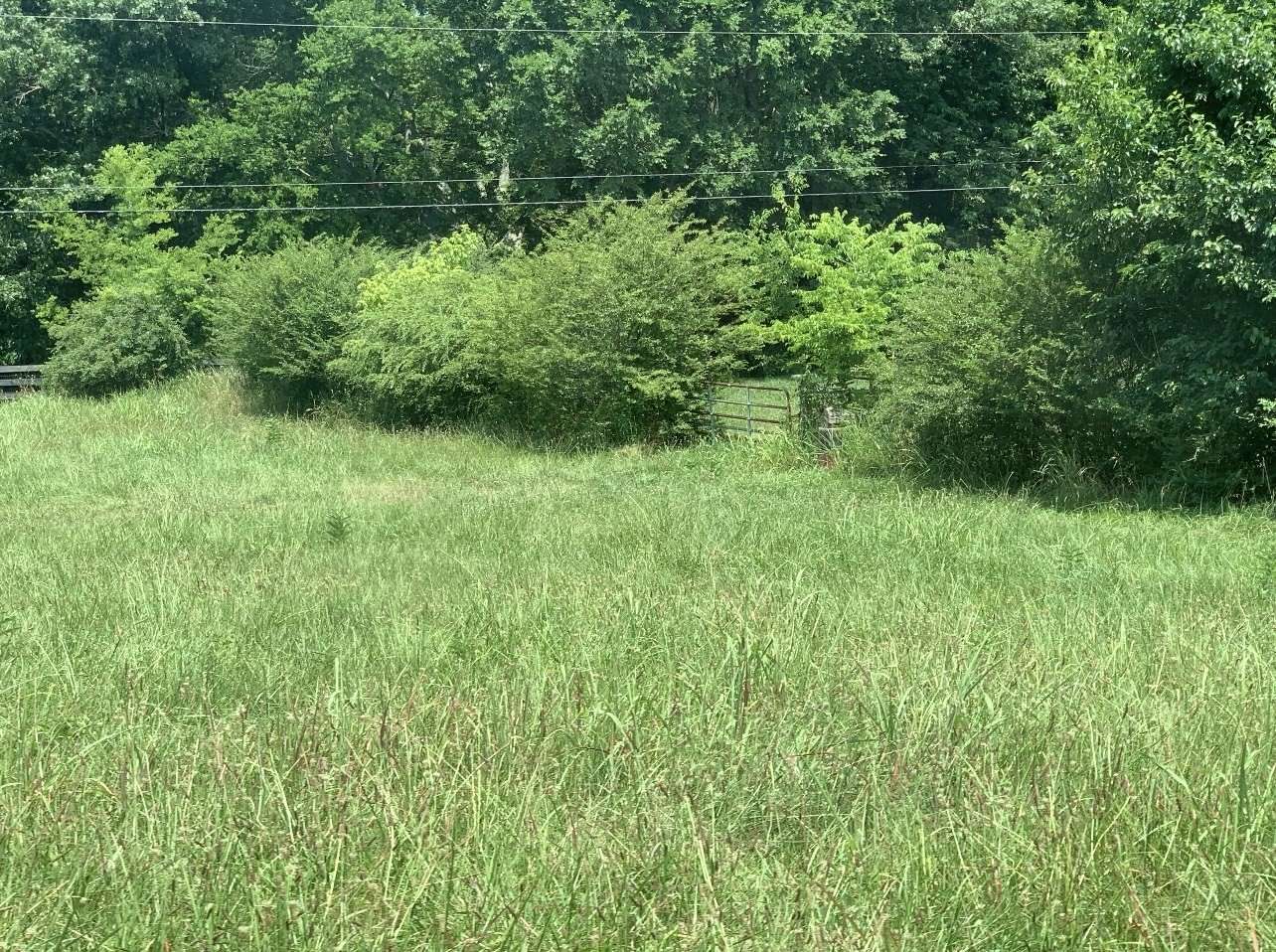 College Grove, TN 37046,6490 Peytonsville Arno Rd