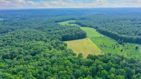 0 Oscar Green Rd, Primm Springs, TN 38476