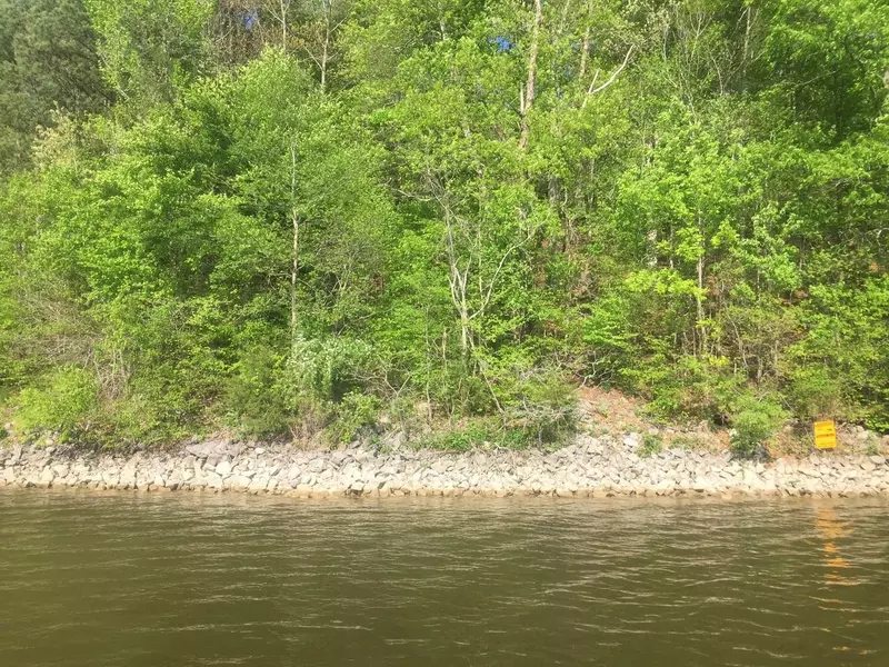 0 LONGVIEW TRL Lot 45, Estill Springs, TN 37330