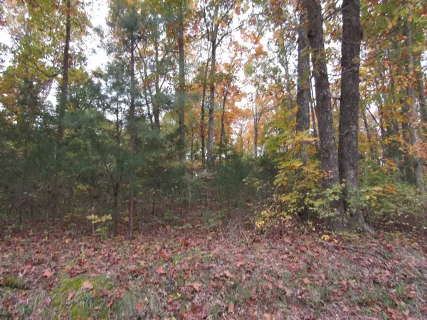 Hilham, TN 38568,11 ac. Turkeytown Rd