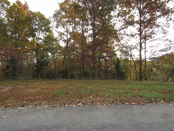 Celina, TN 38551,0 7.29 AC James White Rd