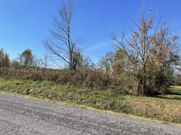 Bradyville, TN 37026,0 Hollow Spgs Rd