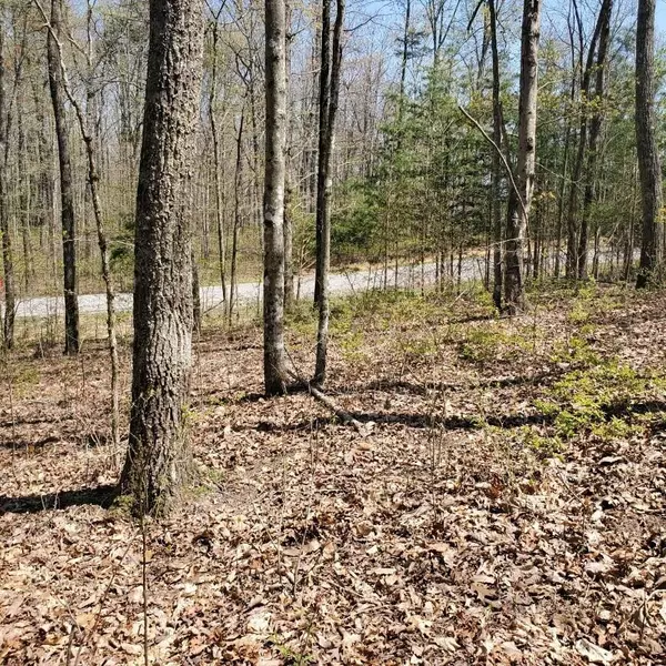 Dunlap, TN 37327,533 Wilderness Way