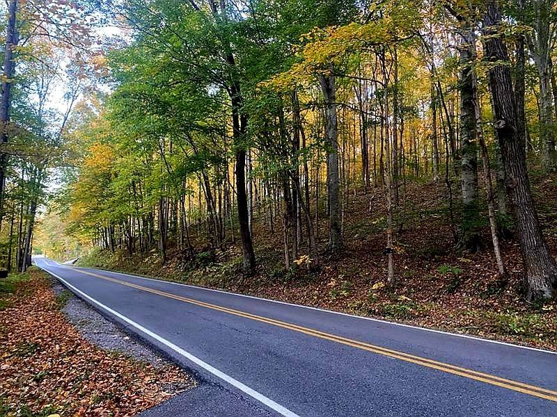 0 Rogues Frk Rd, Bethpage, TN 37022
