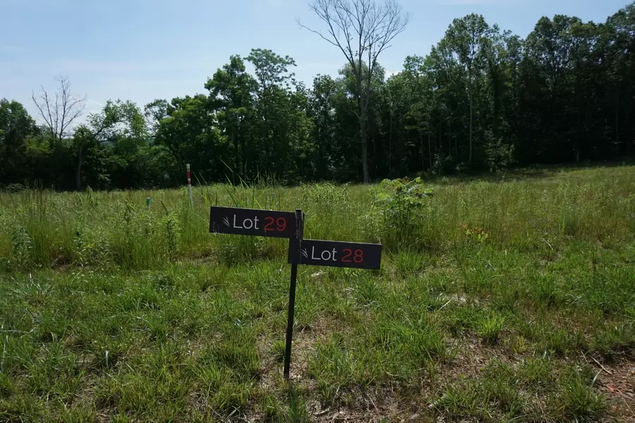 164 Watermill Ln Lot 29, Lebanon, TN 37087