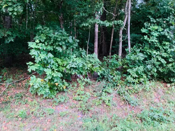 Harrison, TN 37341,11840 Crestwood Trail