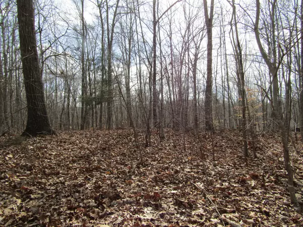 Hilham, TN 38568,0 Cardinal Lane 1.00AC