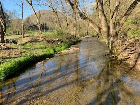 Pleasant Shade, TN 37145,662 Wilmore Hollow Rd