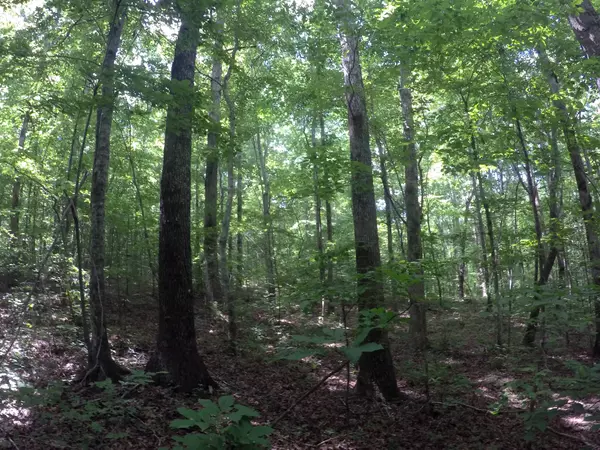 Hohenwald, TN 38462,0 Dial Hollow Rd