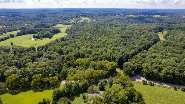 Primm Springs, TN 38476,0 Barnhill Rd