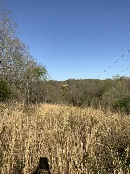 0 Coble and Lost Creek Road, Lobelville, TN 37097