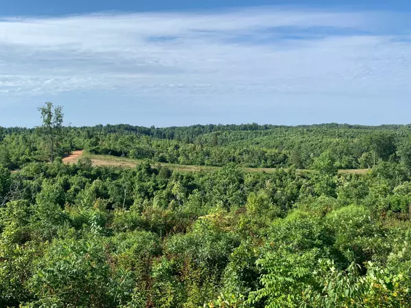 1B Overlook Trail, Lobelville, TN 37097