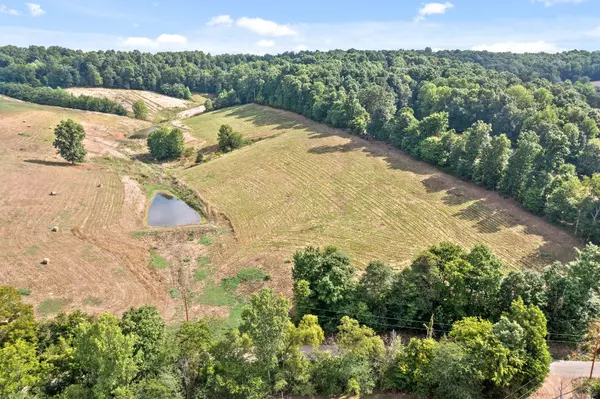 3345 Possum Hollow Rd, Palmyra, TN 37142