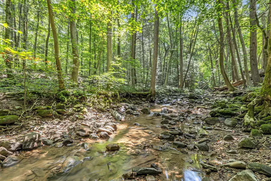 0 Henson Gap Road, Dunlap, TN 37327