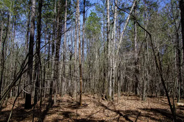 Spencer, TN 38585,0 Country Side Ln Lot #51