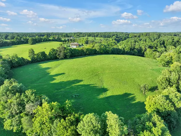 Primm Springs, TN 38476,0 Oscar Green Rd