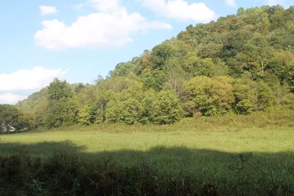 Whitleyville, TN 38588,283 Hunting Creek Rd