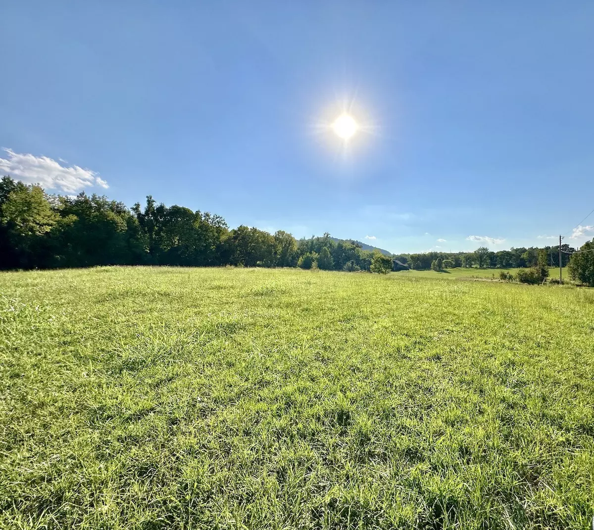 Smithville, TN 37166,0 Half Acre Rd.