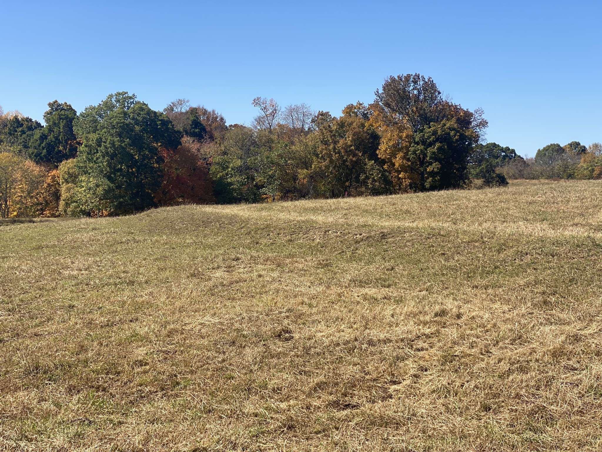 Clarksville, TN 37043,5 Hickory Point Rd