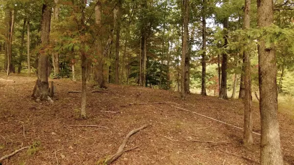 Monteagle, TN 37356,0 Eagle Rock Rd