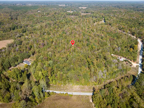 Darden, TN 38328,0 Ararat Road